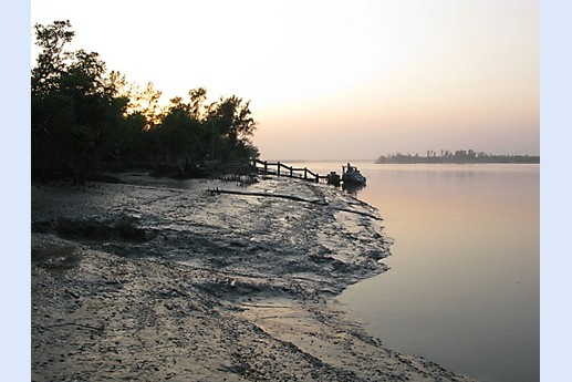 Viaggio in India 2008 - Sunderbans